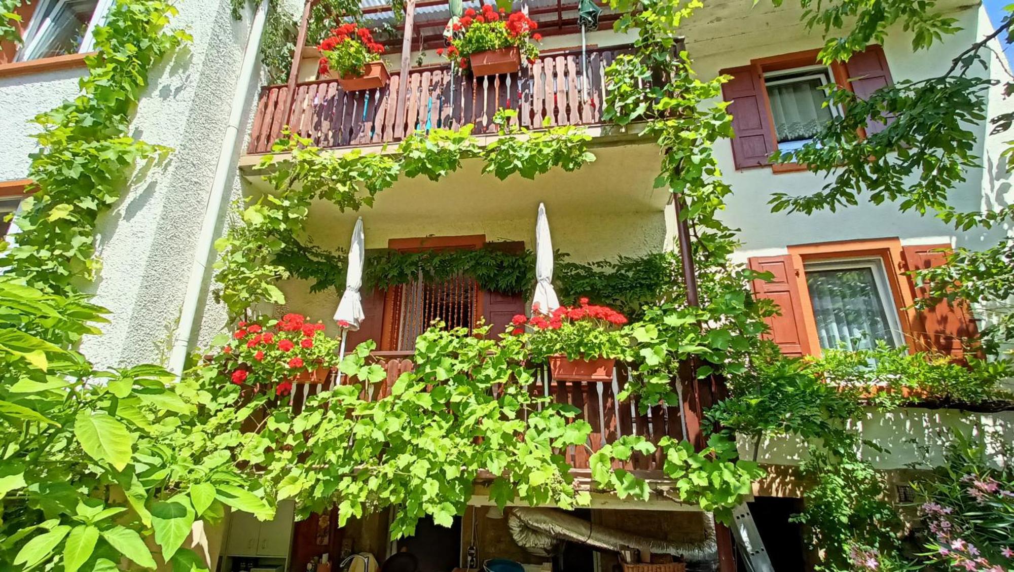 Urlaub Mit Charme In Der Kleinsten Stadt Der Pfalz. Obermoschel Екстериор снимка